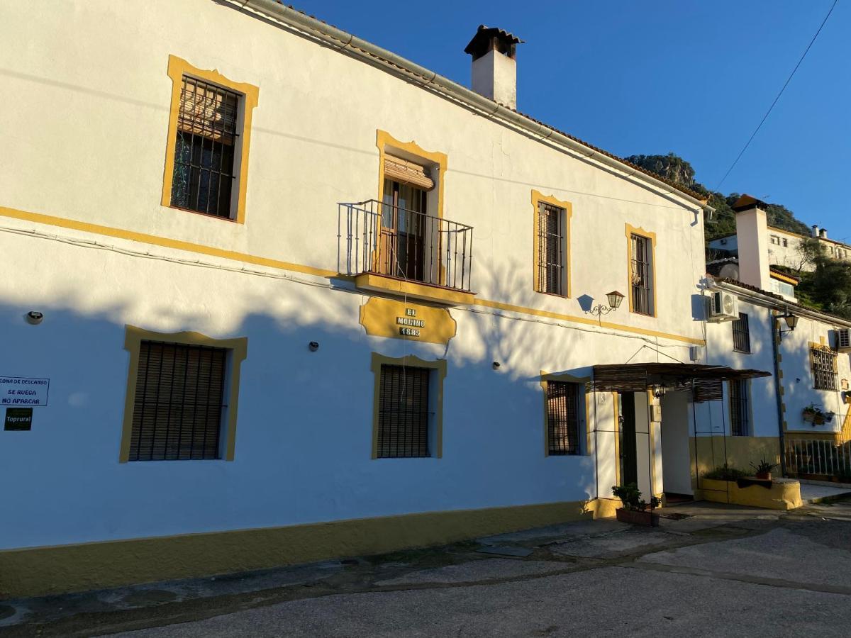 Alto De Torrecillas 엘보스크 외부 사진