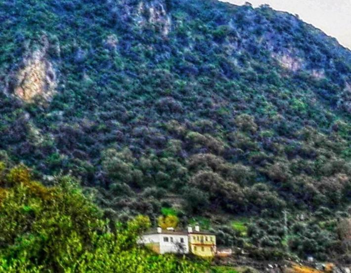 Alto De Torrecillas 엘보스크 외부 사진