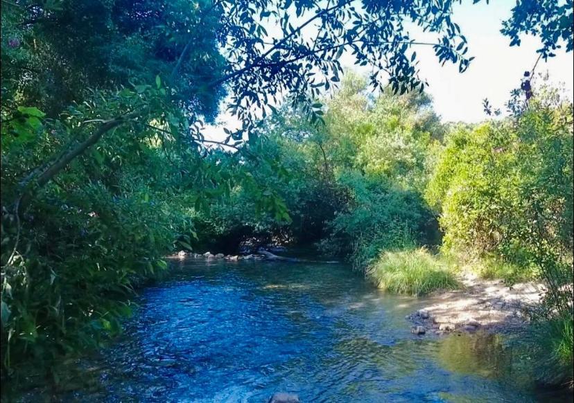 Alto De Torrecillas 엘보스크 외부 사진